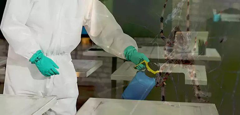 Why Buyers Still Want Homes With Pest Infestations in Tallahassee, FL?