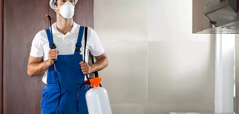 Why Tallahassee Homeowners Choose Us When Pests Make Selling Difficult