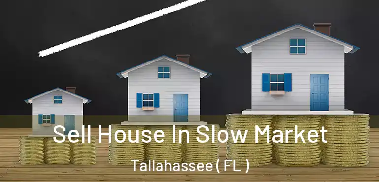  Sell House In Slow Market Tallahassee ( FL )